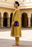 THE DILKASH BROCADE SET
