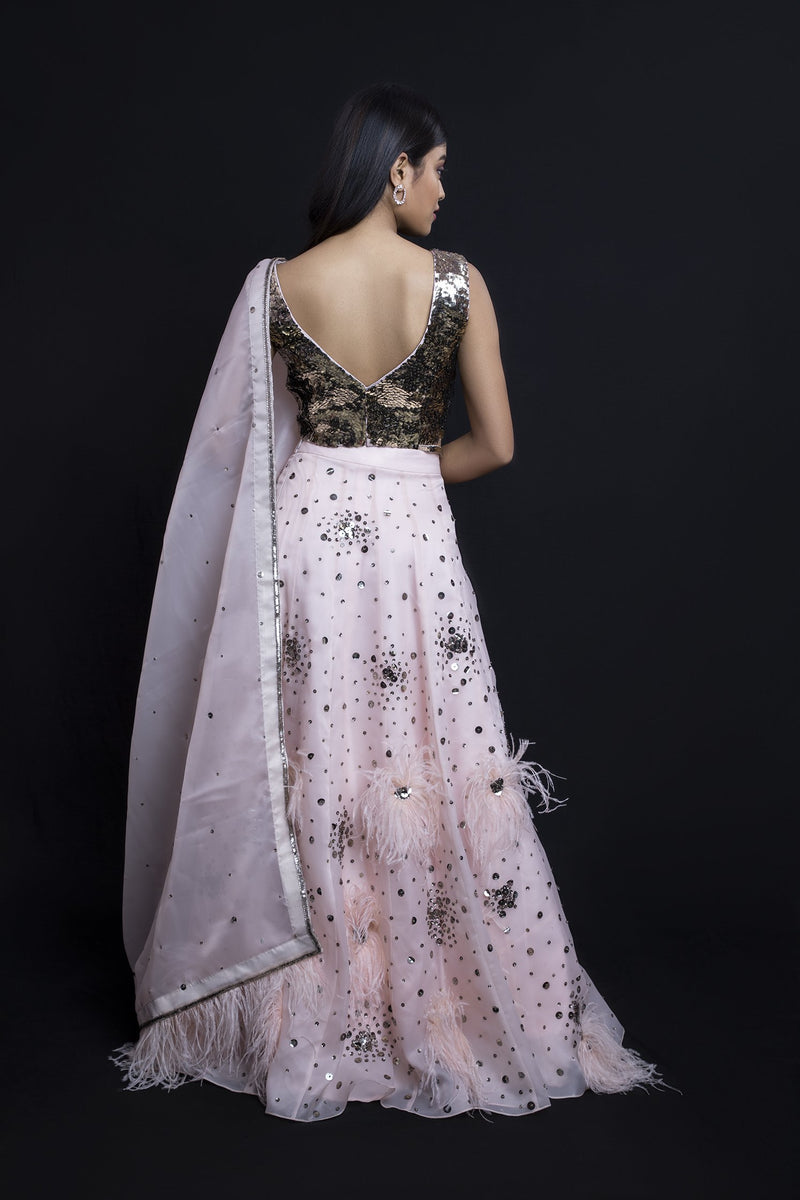 Sequinned Choli with Feathered Lehenga & Dupatta