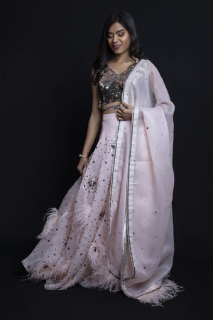 Sequinned Choli with Feathered Lehenga & Dupatta