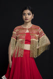 Red Lehenga With Cut Dana Work